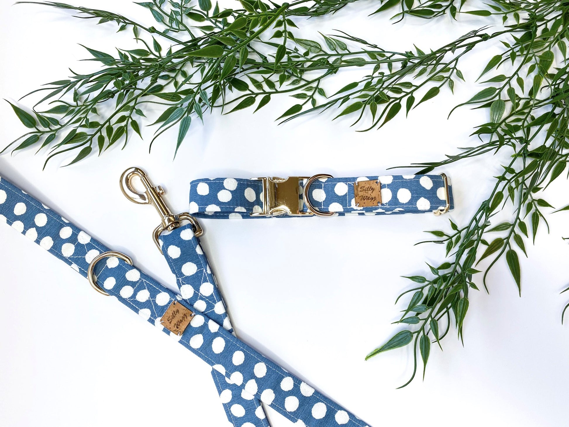 baby blue polka dot lead and collar