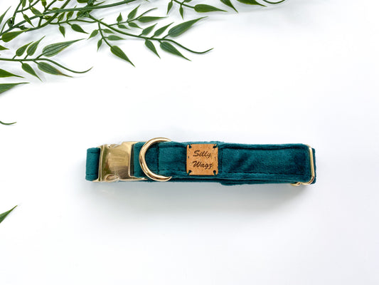 Green Velvet Collar